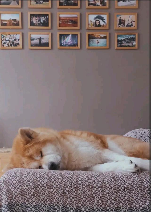Bobby'S Beds Apartment เลส์-ปองต์-เดอ-เซ ภายนอก รูปภาพ